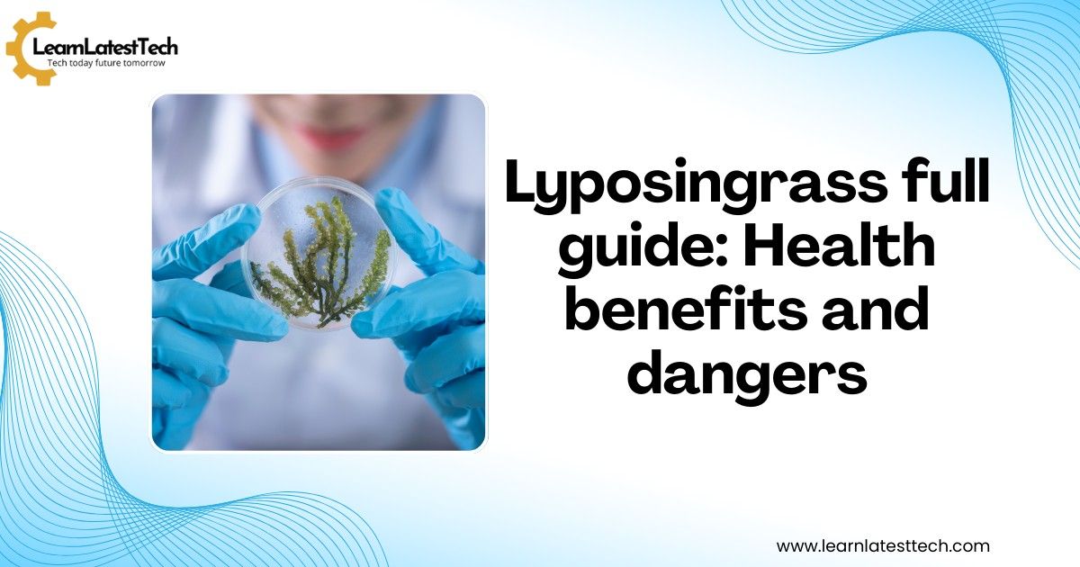 Lyposingrass full guide: Health benefits and dangers